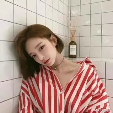 小犬与女孩